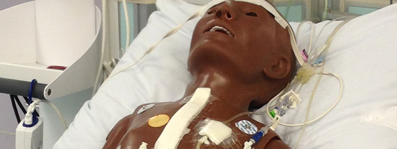 Extracorporeal Membrane Oxygenation (ECMO) simulation