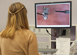 Flight simulation for Cook Children's
