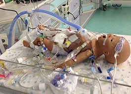 simlab-nicuecmo-2