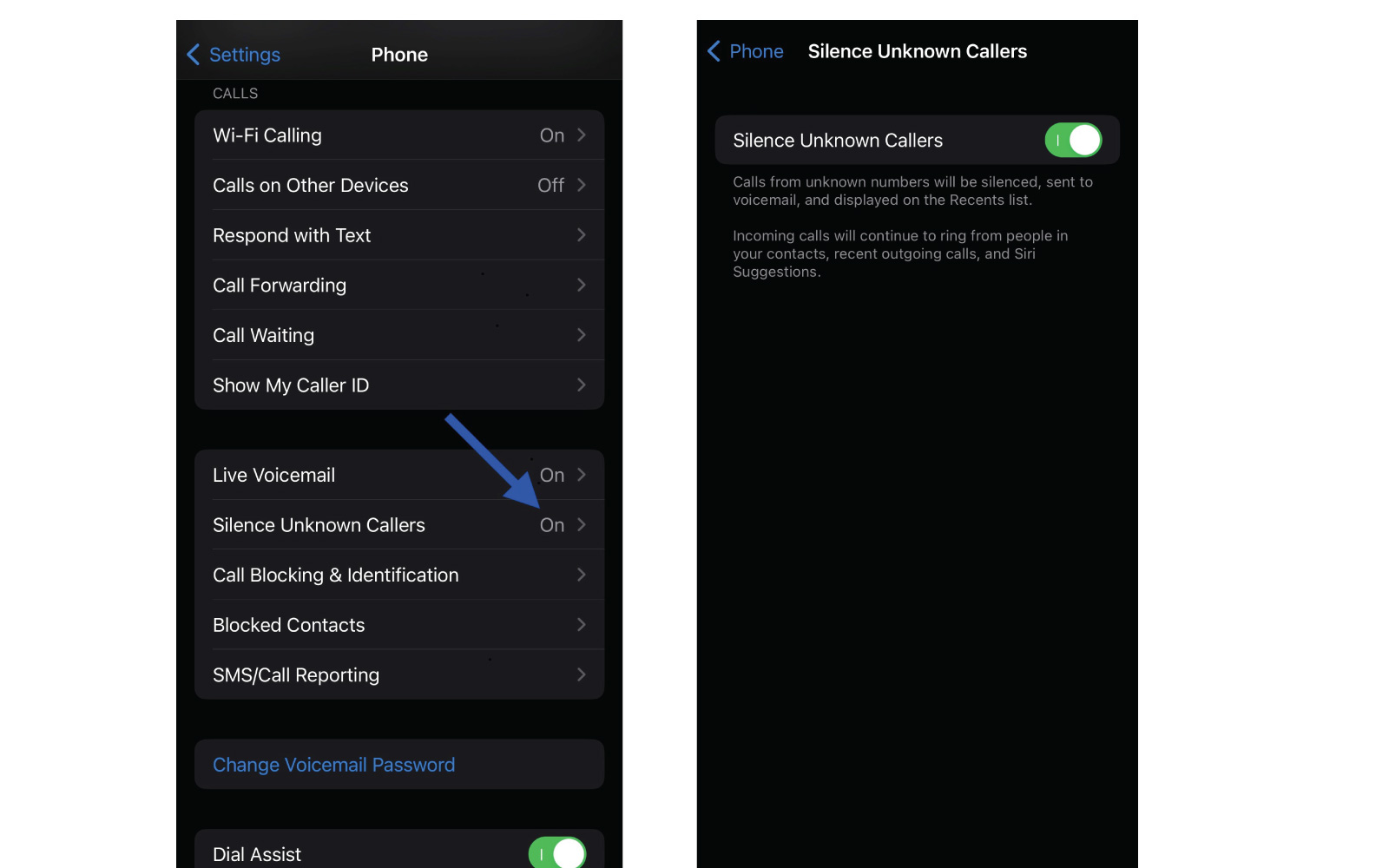 spam control settings for apple iphone